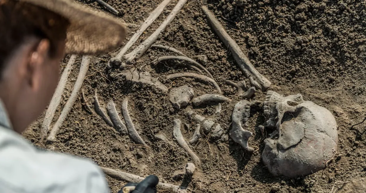 fosil kostur neandertalacBIBLIOTEKA MIKROGENSKIH SLIKA/NAUČNIH FOTOGRAFIJA/