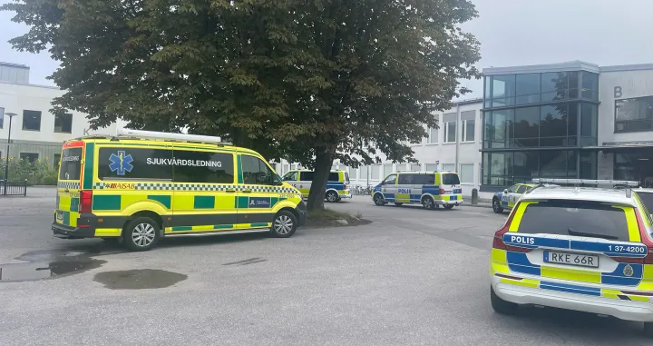 Interveniralii švedski policajci/X.com/