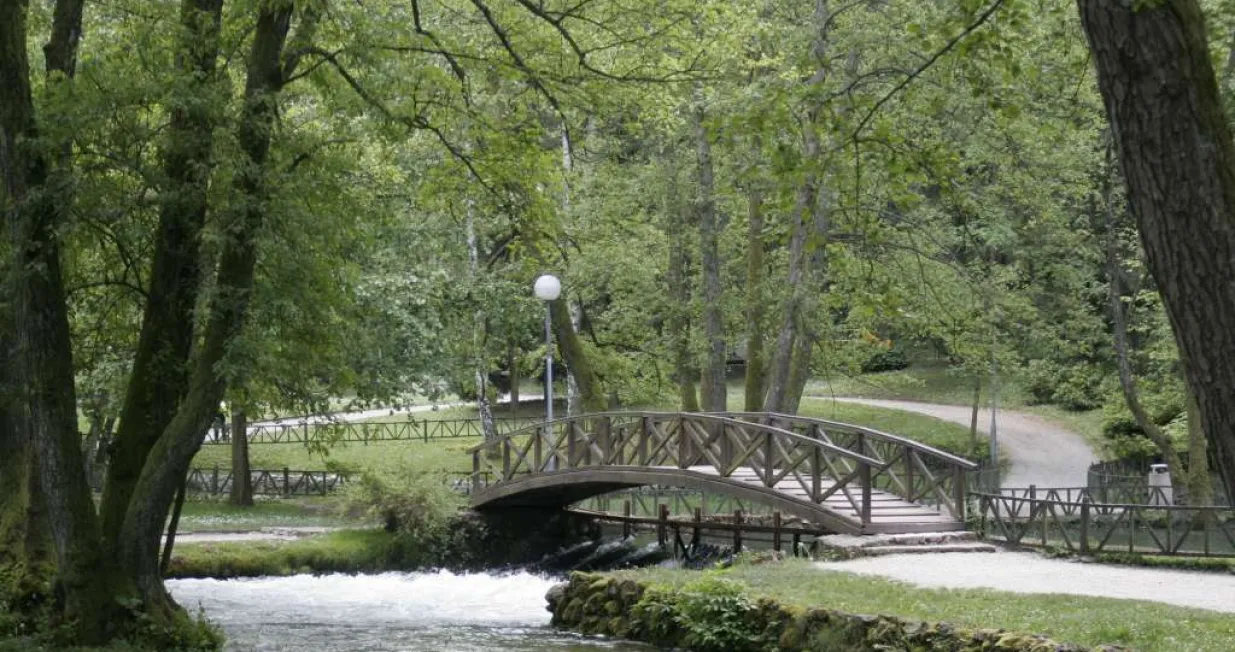 Vrelo Bosne/