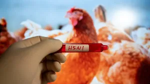 H5N1 Science Alert/