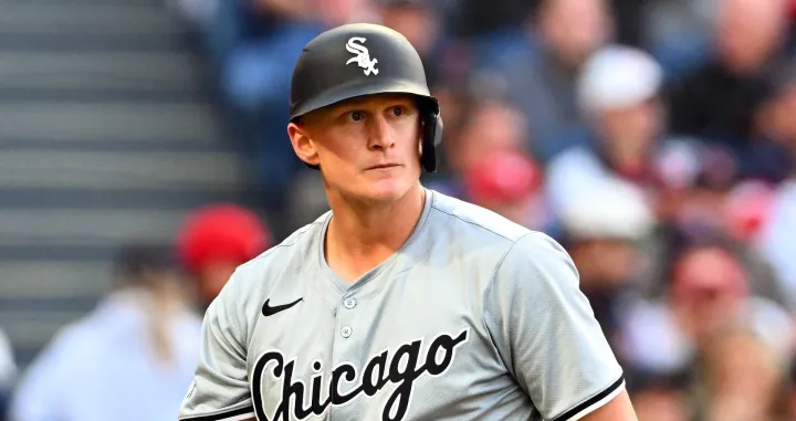 chicago white sox