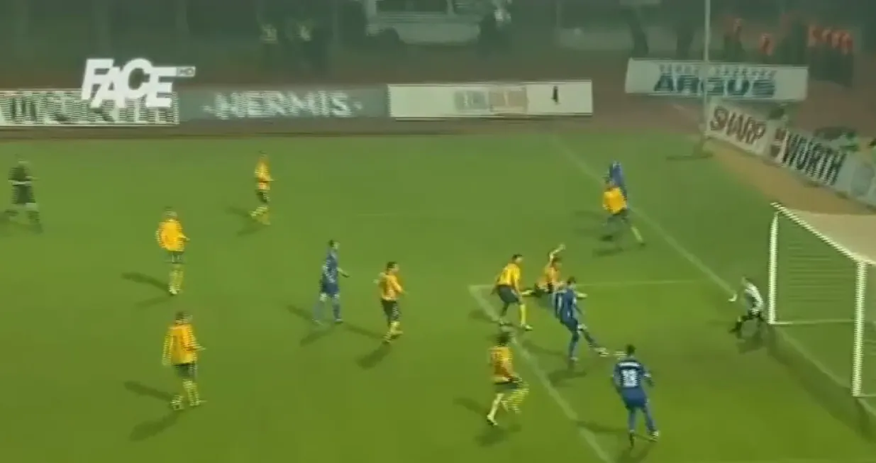 Vedad Ibišević gol Kaunas