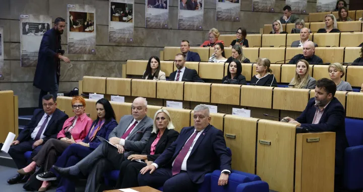 nasilje u porodici parlament fbih.jpg.jfif/