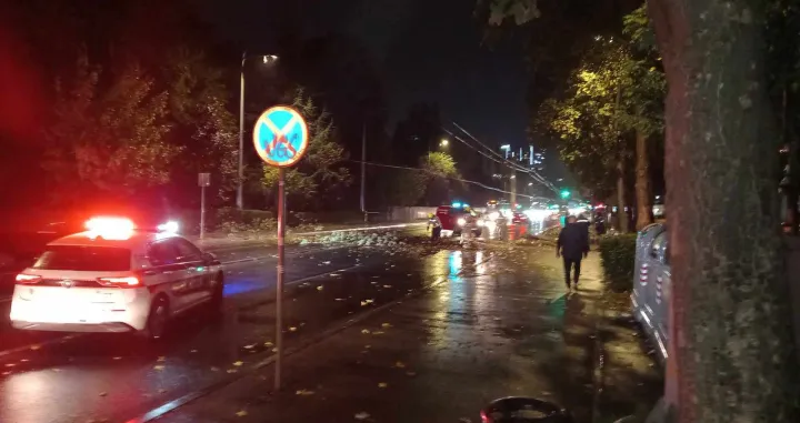 Za dlaku izbjegnuta tragedija u Sarajevu: Stablo palo na saobraćajnicu, na terenu policija i vatrogasci/