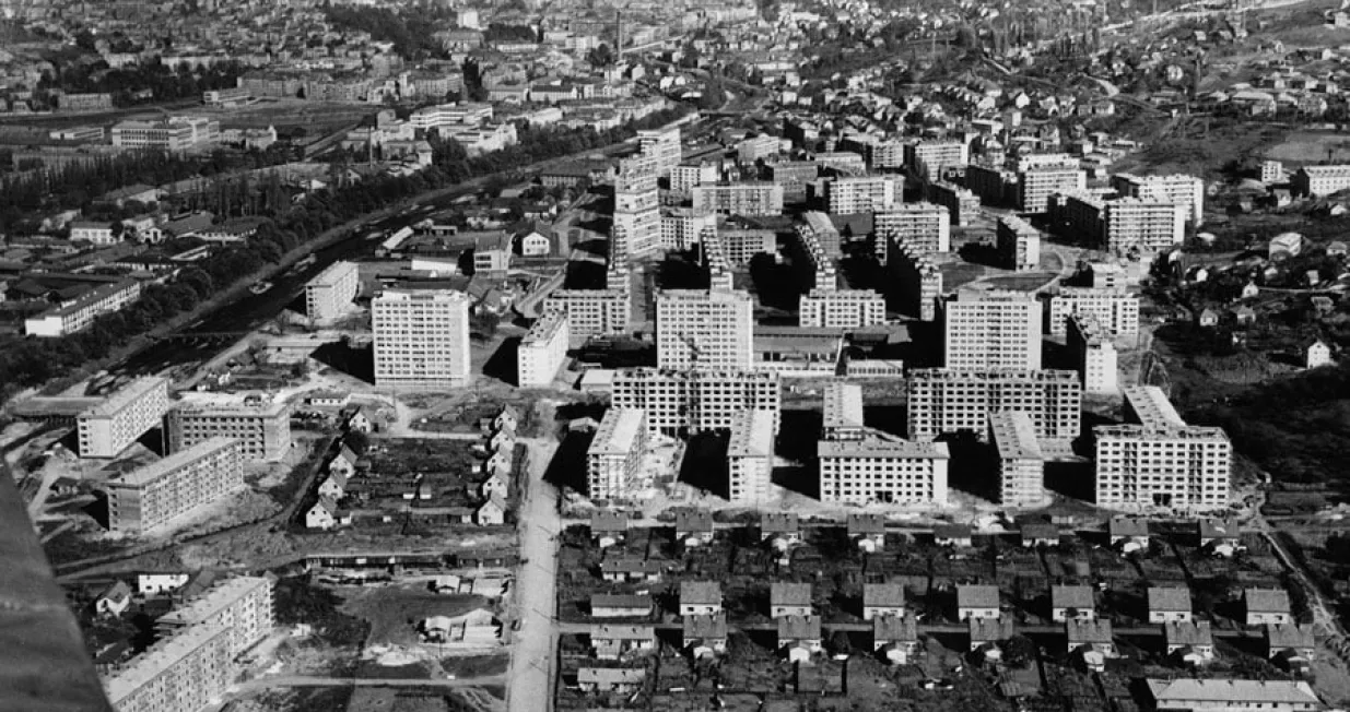 grbavica 1954./