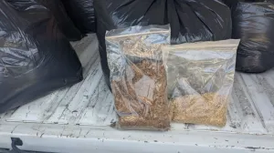 Oduzeti duhan/UIO BiH/