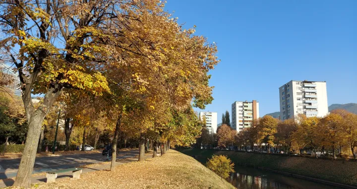 sunce vils jesen/