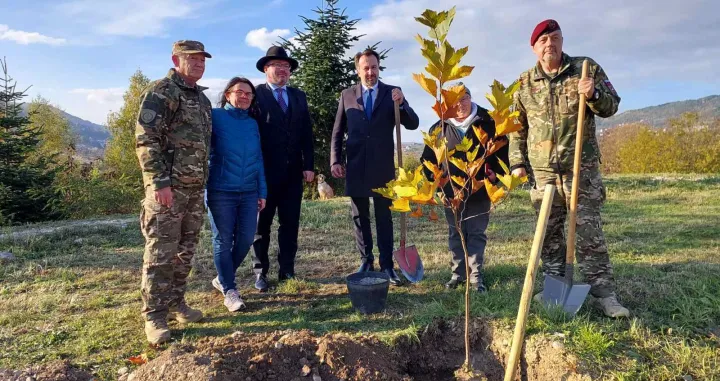 Mlada stabla za ljepšu budućnost 12.11.2024./