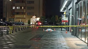 Počinioci su Österdahlu prišli na biciklu/Džemila Busnov/