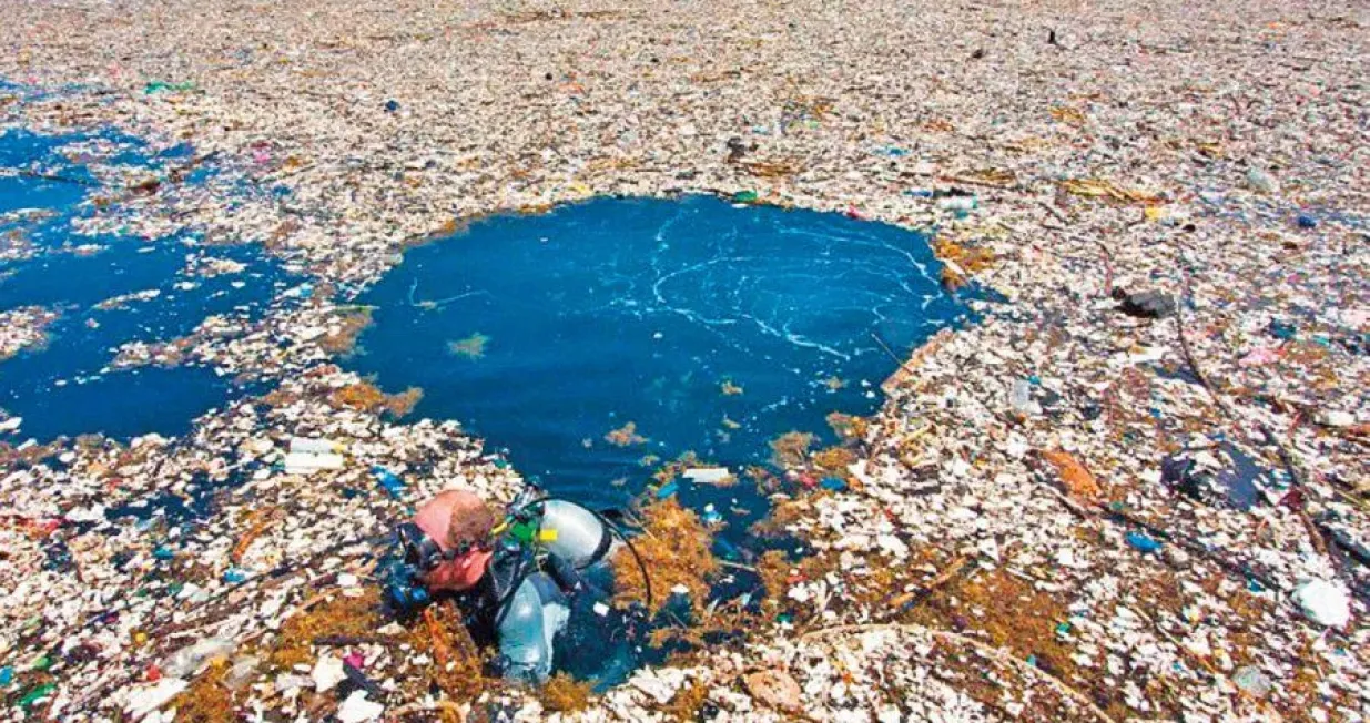 Veliki pacifički otok smeća reddit/