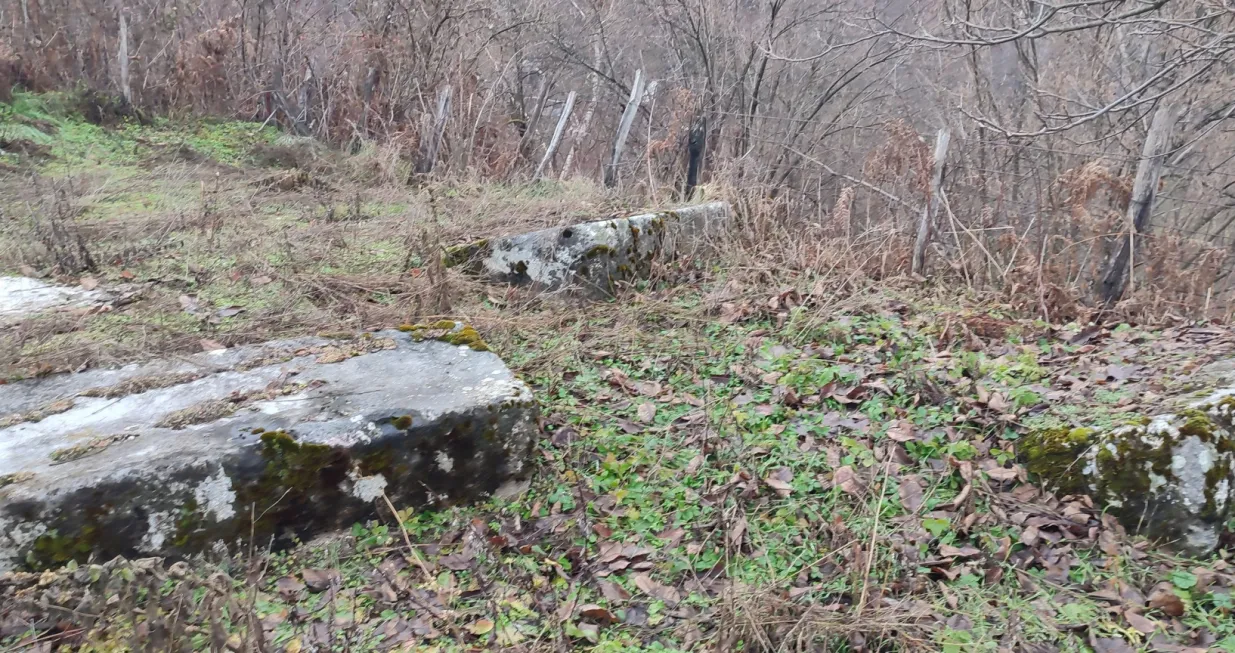 Veliko otkriće kod Trnova: Kraj same ceste pronađena nekropola od 42 stećka/Fondacija čuvari Baštine Bassania