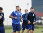 Trening reprezentacije BiHErmedin DemirovićMadžid Šošić