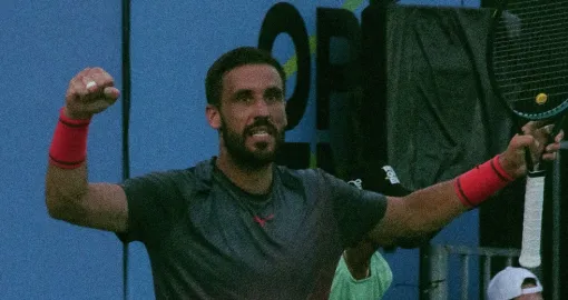 Damir Džumhur