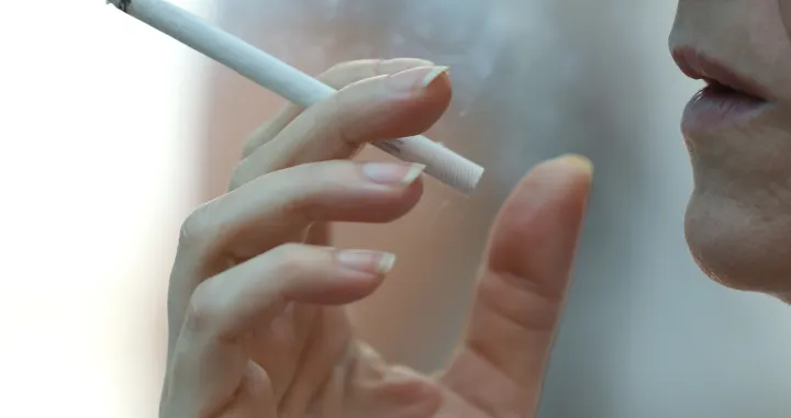 Zakon pušenje cigarete/Senad Gubelić