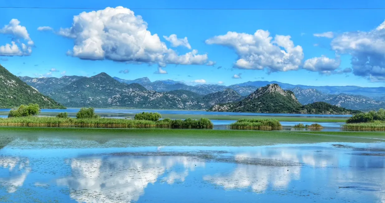 skadarsko jezero, priroda/Simović Igor