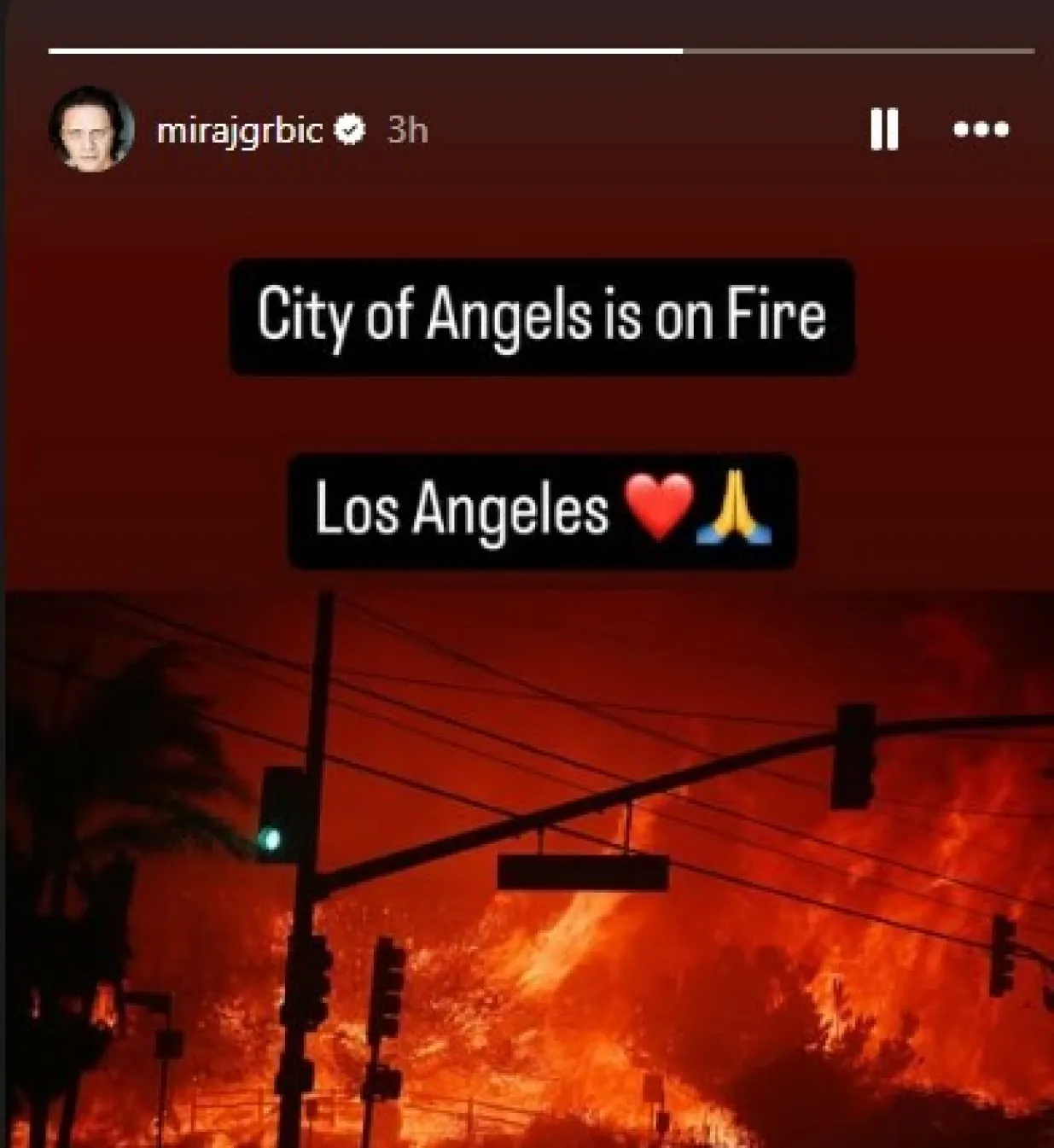 Miraj Grbić, požar, Los Angeles/Instragram