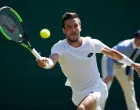 damir dzumhur 