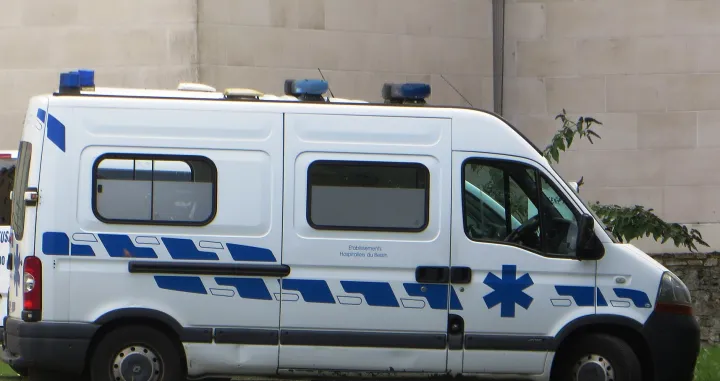 Ilustacija/ Wiki Commons/