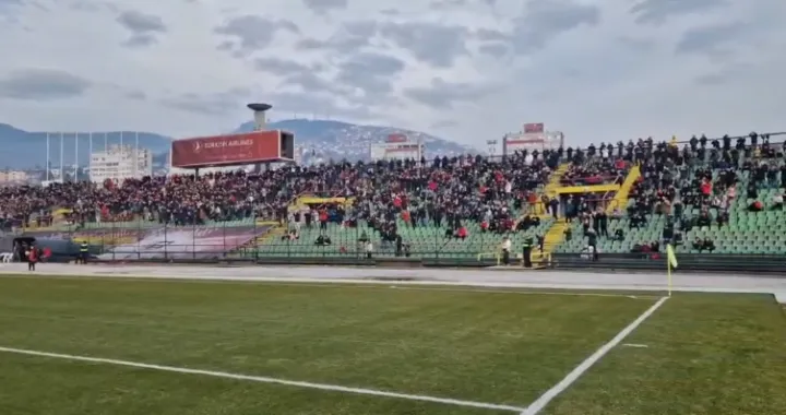 Vedran Puljić