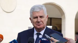 Dragan Čović, predsjednik HDZ-a i HNS-a BiH/Fena