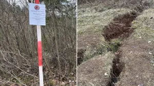 Situacija na lokalitetu Curine njive/Oslobođenje/Oslobođenje