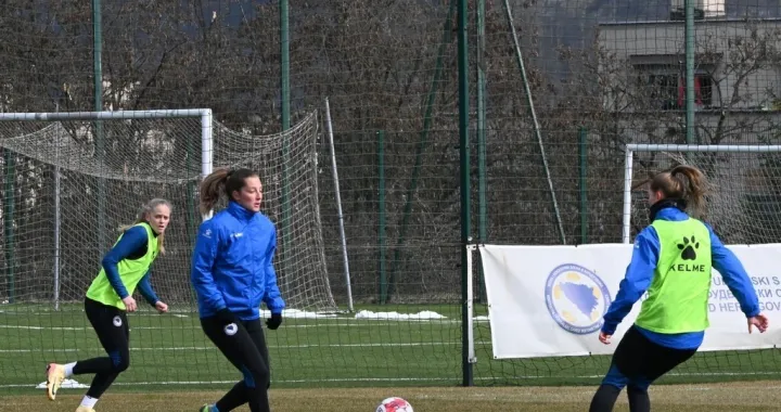 Đula Velagić (FOTO: NFSBiH.ba)