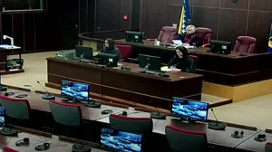 sud bih, izricanje presude miloradu dodiku,/Screenshot