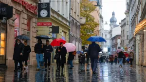 Kišni dan kasni novembar/Damir Deljo