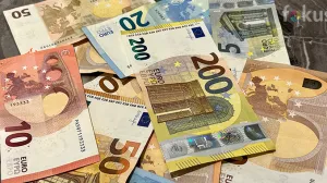 euro novac/