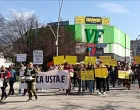 Novi protest/Fena/Vehid Begunić