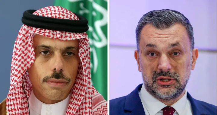 Faisal bin Farhan Al Saud, Elmedin Konaković//