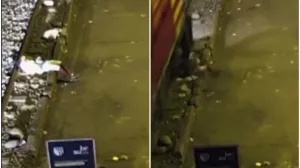 Objavljen snimak nesreće/Printscreen/X.com//