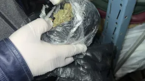 Zaplijenjena droga/