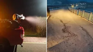 Invazija insekata/
