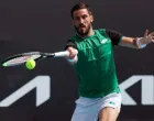 damir džumhur 
