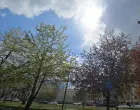 vrijeme, sunce, promjena/Lejla Sofradžija
