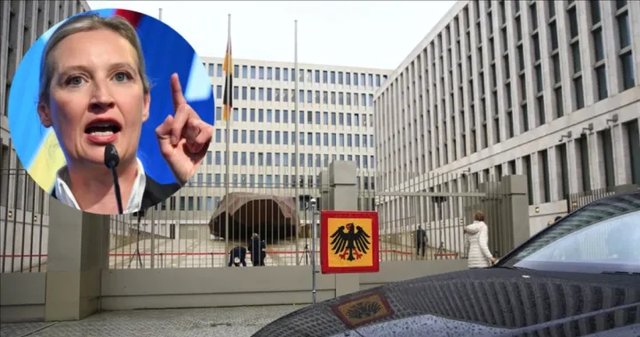 AfD se suočava sa ozbiljnom prijetnjom zabrane djelovanja/