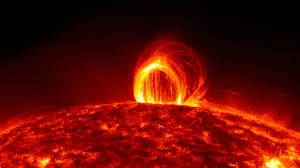 sunce aurora/
