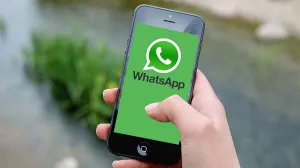 whats app/