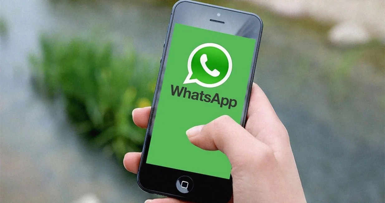 whats app/