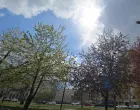 vrijeme, sunce, promjena/Lejla Sofradžija