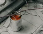 Postoje situacije u kojima je ispiranje aquafabe neophodno/Pexels