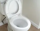 WC šolja nije kanta za smeće/Unsplash