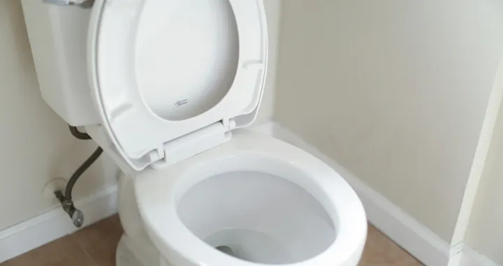 WC šolja nije kanta za smeće/Unsplash