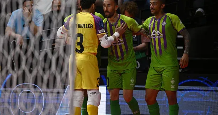 Palma futsal