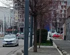 Policija "češlja" mjesto zločina/Telegraf.rs/