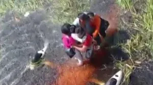 /