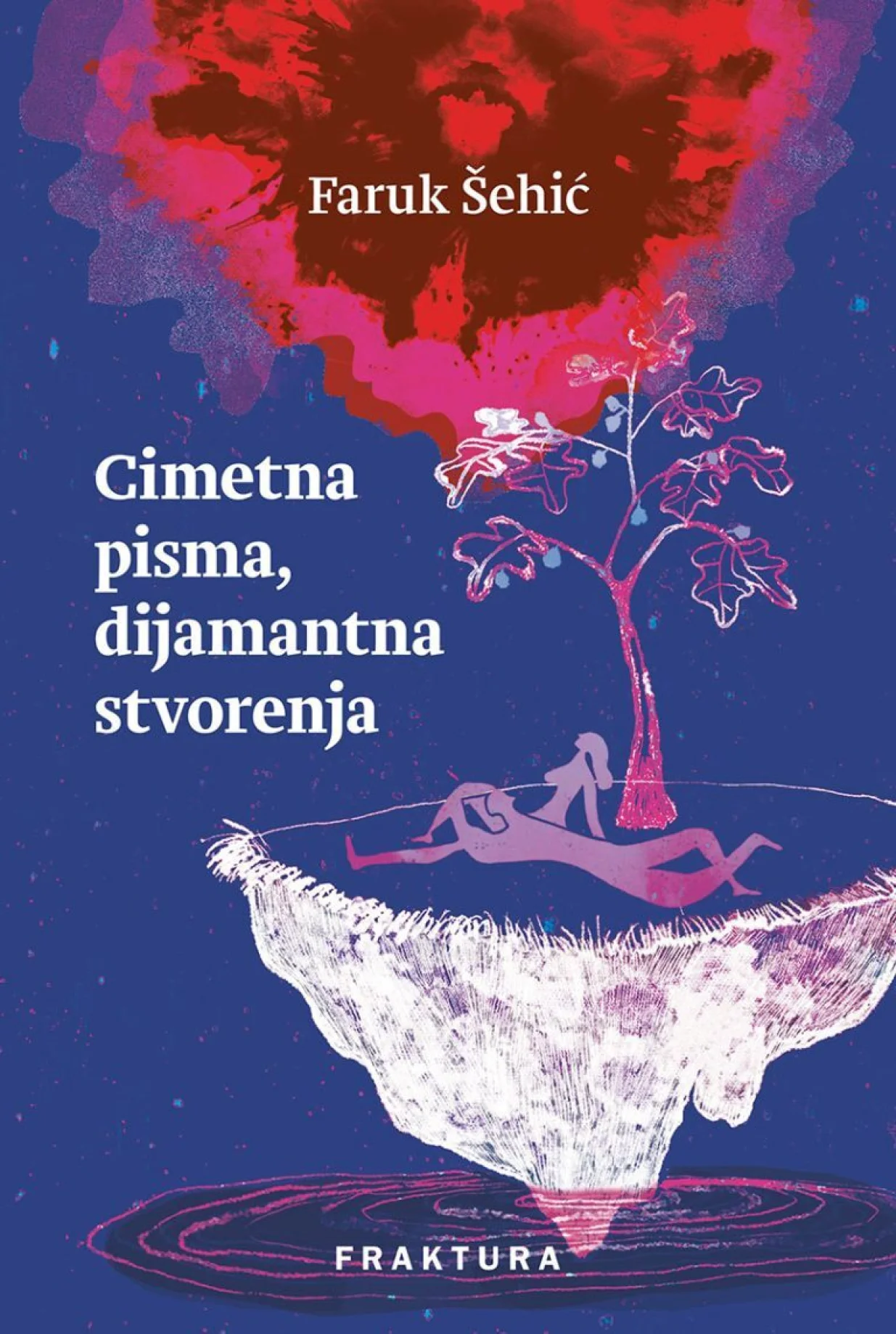 Roman "Cimetna pisma, dijamantna stvorenja"/