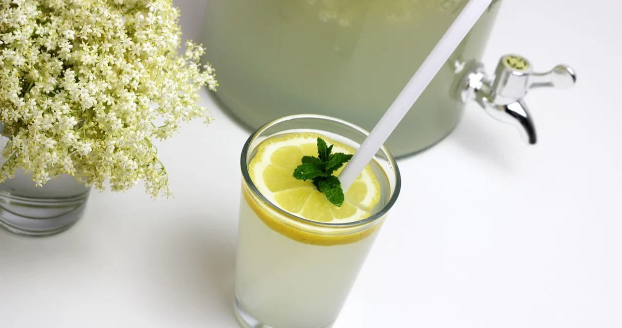 Sirup od zove//