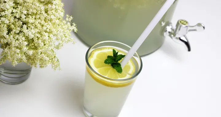 Sirup od zove//